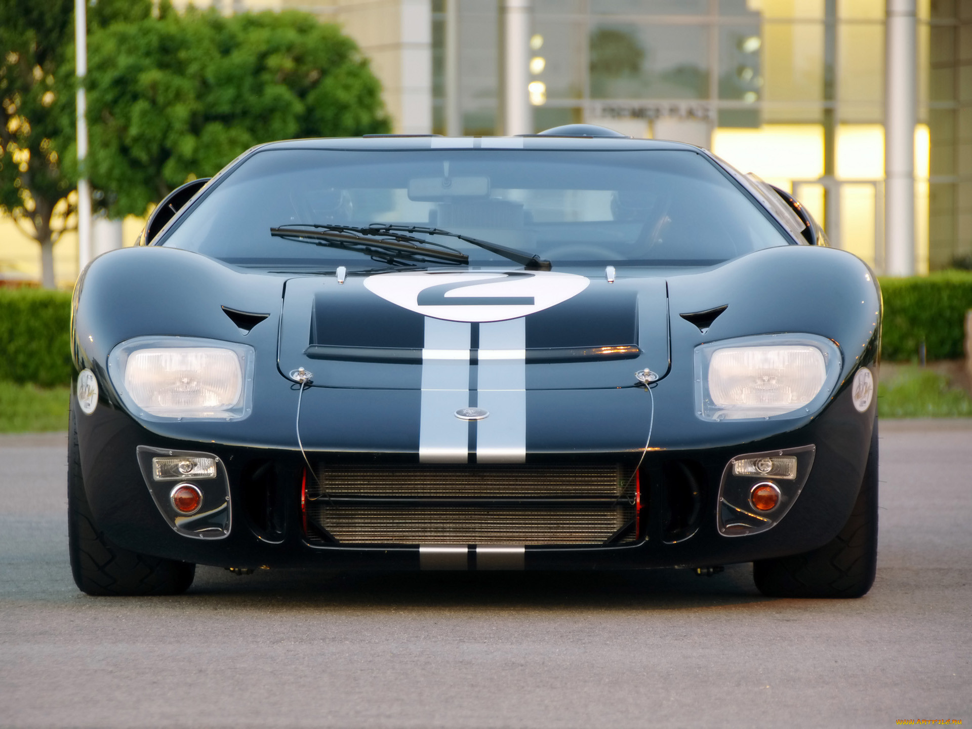 2008, shelby, 85th, commemorative, gt40, , ford